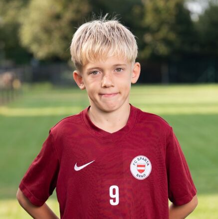 Lipský David